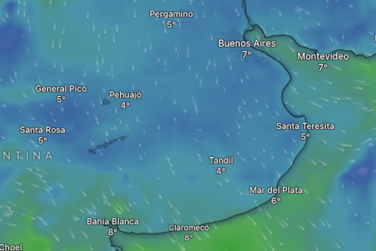 Alerta amarilla por vientos, Zonda y nevadas: el SMN advierte sobre fenómenos con capacidad de daño
