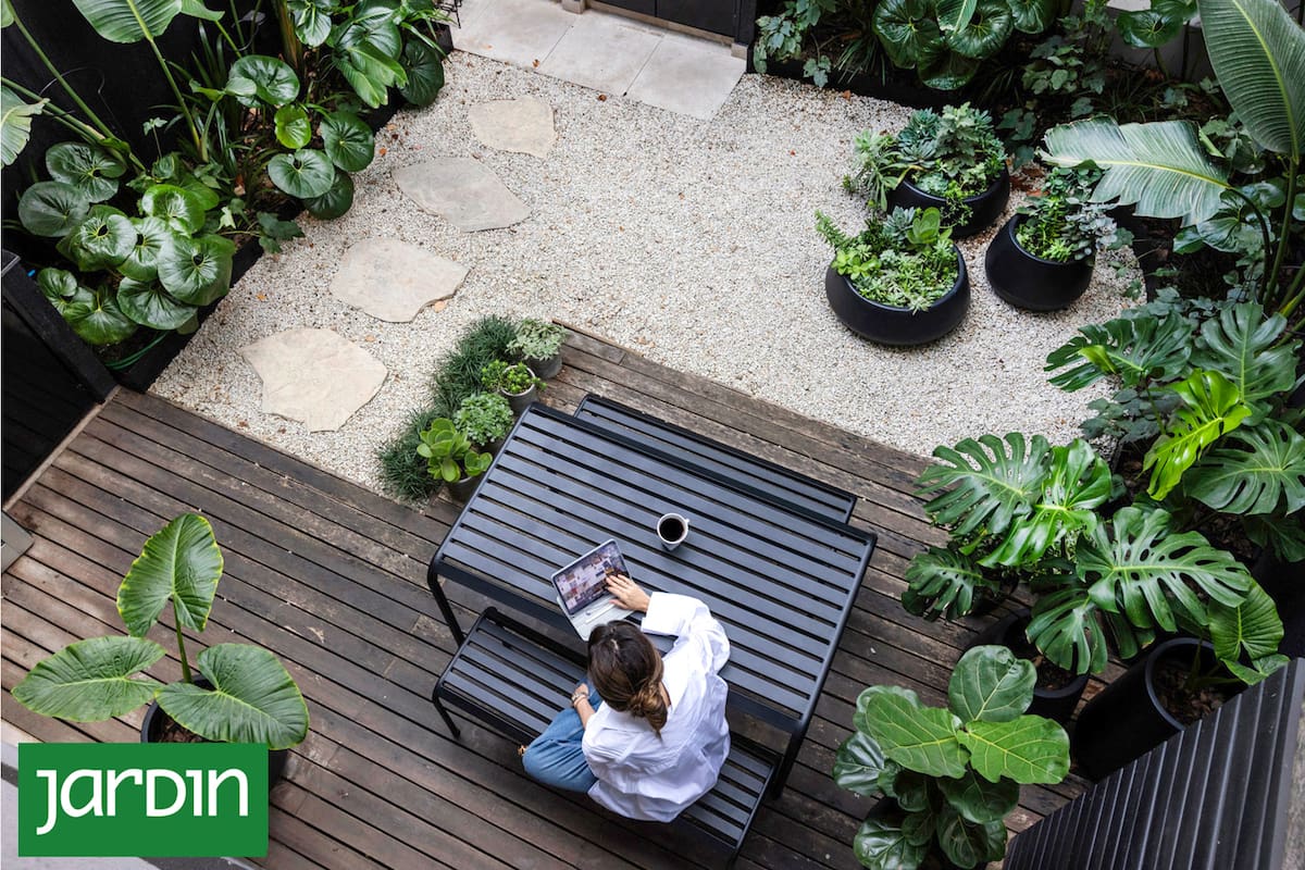 De un patio oscuro a una jungla urbana: la transformación que te va a dejar sin aliento