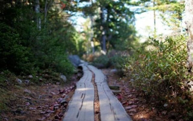 Milei avanza con el saqueo: buscan derogar la ley de tierras para entregar recursos a extranjeros