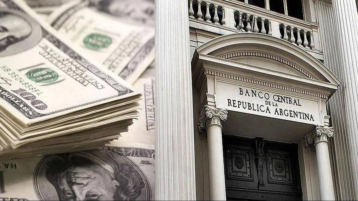 Récord de dólares que entran, pero el BCRA apenas compra un tercio: las personas se dolarizan más que el Gobierno