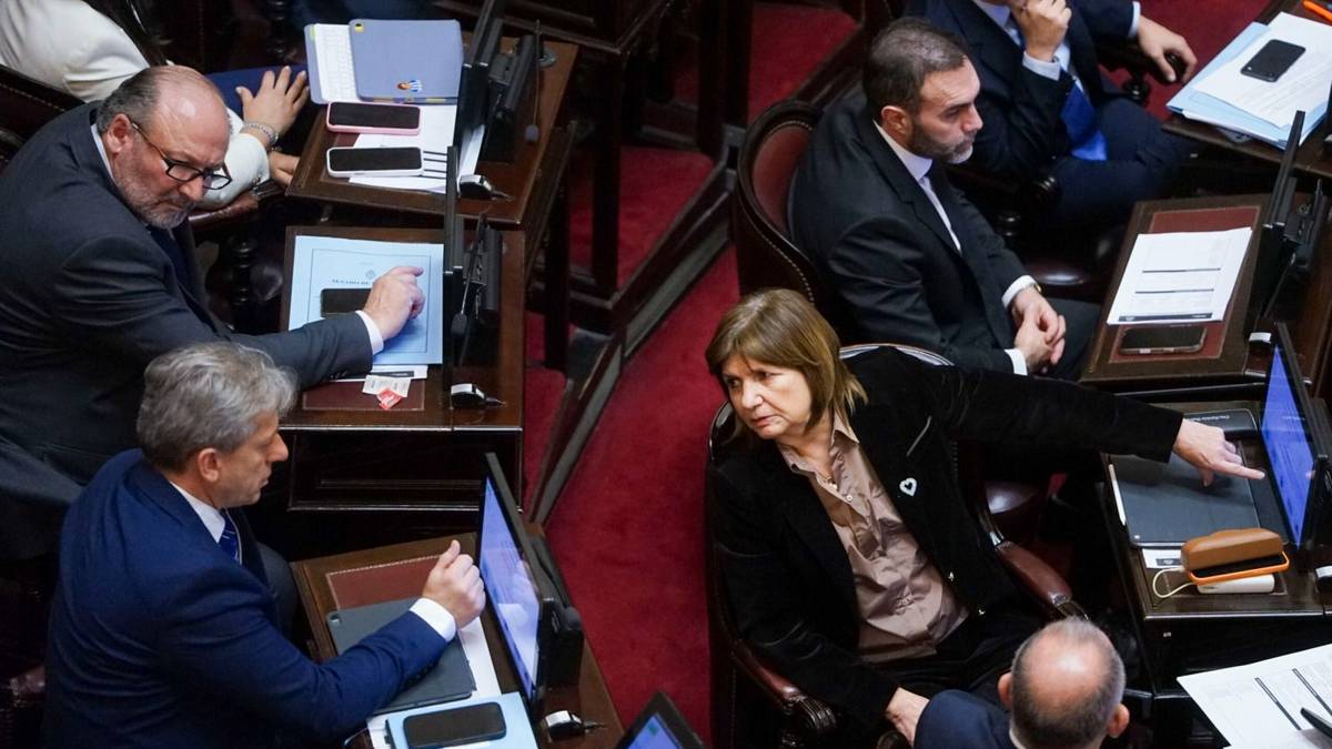 Sin los votos: LLA pospone la ley de venta de tierras para agosto en el Senado