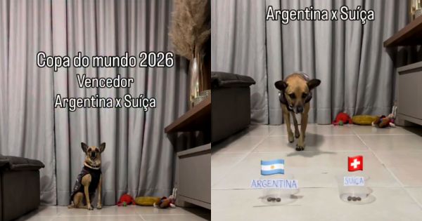 Tulipa, la perra vidente que enloquece a los hinchas: ya eligió ganador para Argentina-Suiza