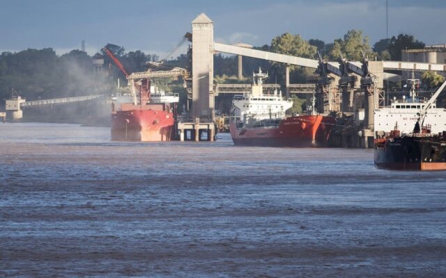 Bunge dominates: the giant that took first place in grain exports in the first half of 2026