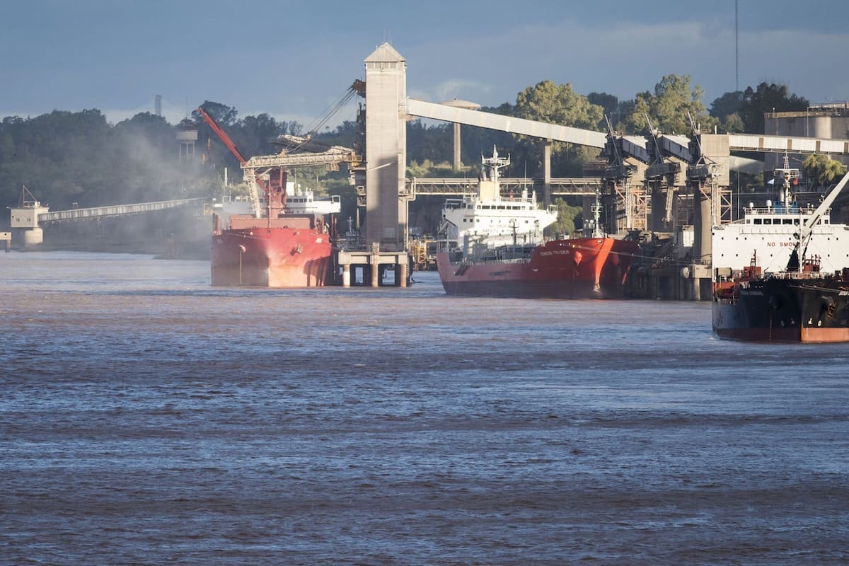 Bunge arrasa: la gigante que se quedó con el primer puesto en exportación de granos en el primer semestre de 2026