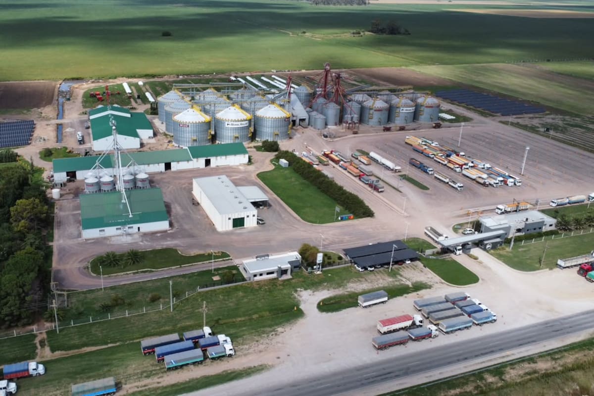 Inversión millonaria en Córdoba: una de las mejores empresas para trabajar puso US$3 millones en nueva planta