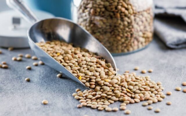 The seed that strengthens muscles and the myth that ice cream doesn't refresh