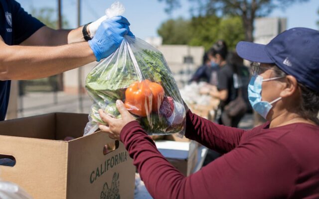 ¡Comida gratis en California! Cronograma del 6 al 10 de julio para llenar la heladera sin gastar un peso