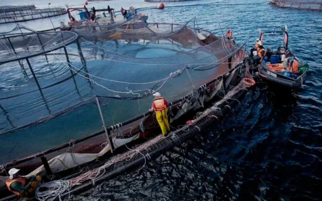 Malvinas: consulta sobre salmonicultura y protesta por HMS Medway