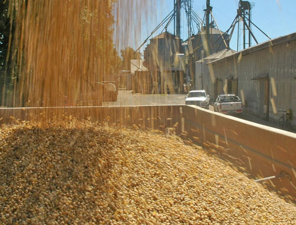 Retenciones a la soja: el costo para los productores y el debate por su eliminación