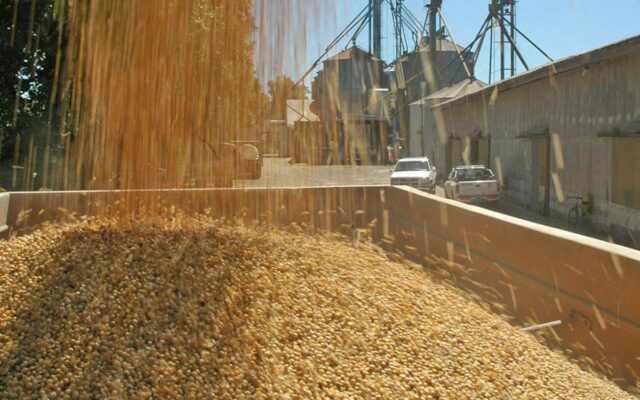 Retenciones a la soja: el costo para los productores y el debate por su eliminación