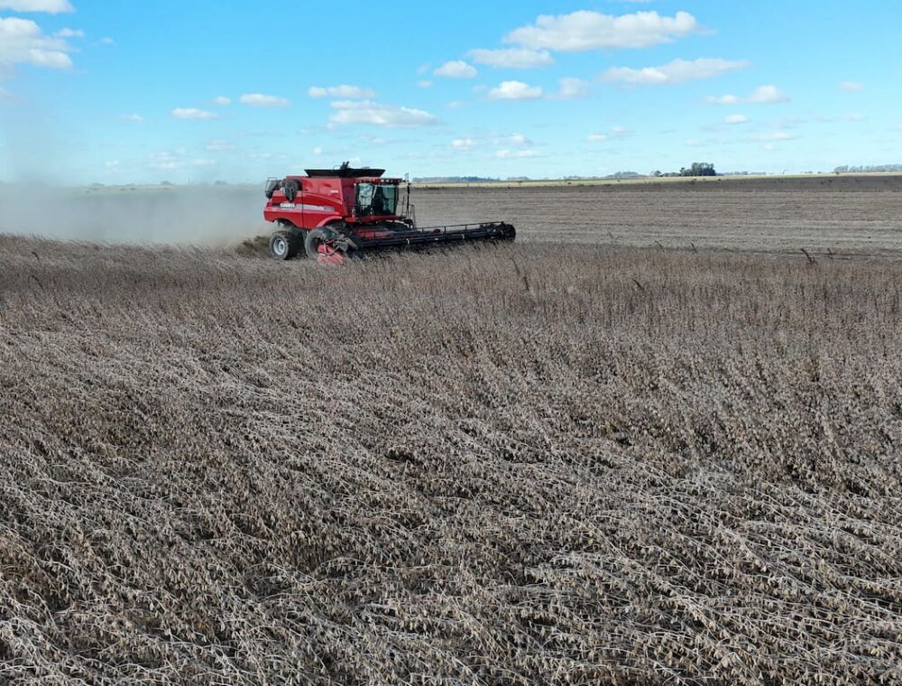 Agricultural Export Taxes: Official Measures and Projections Cited for 2026/2027