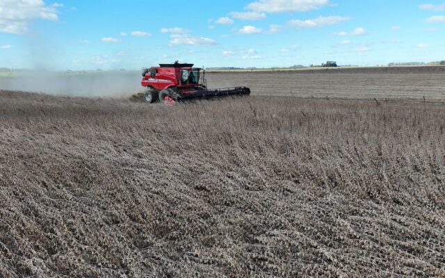 Agricultural Export Taxes: Official Measures and Projections Cited for 2026/2027